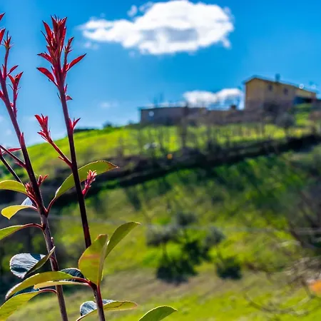 La Casa Del Nonno Bed & Breakfast 3*