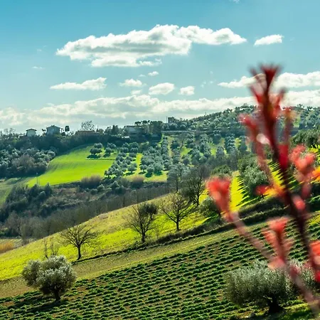 Bed & Breakfast La Casa Del Nonno 3*