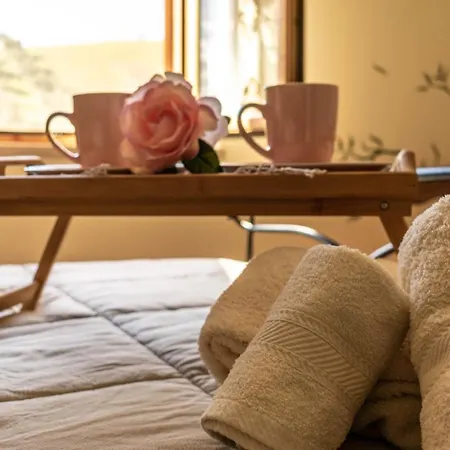 Bed & Breakfast La Casa Del Nonno *