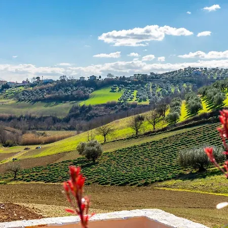 Bed & Breakfast La Casa Del Nonno Spoltore