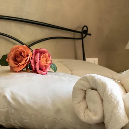 La Casa Del Nonno Spoltore