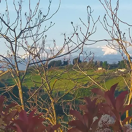 Bed & Breakfast La Casa Del Nonno Spoltore