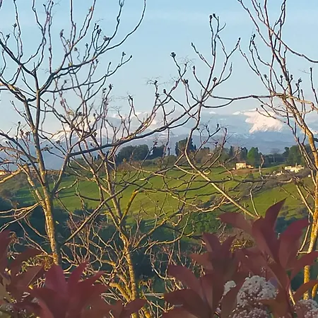 Bed & Breakfast La Casa Del Nonno Spoltore