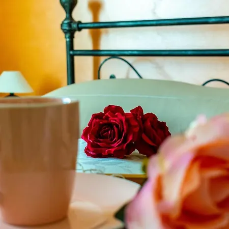 La Casa Del Nonno Couette-café Spoltore
