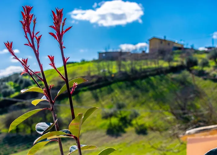 La Casa Del Nonno Bed and breakfast 3*