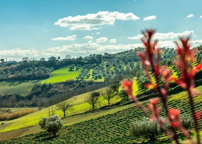 Bed and breakfast La Casa Del Nonno 3*