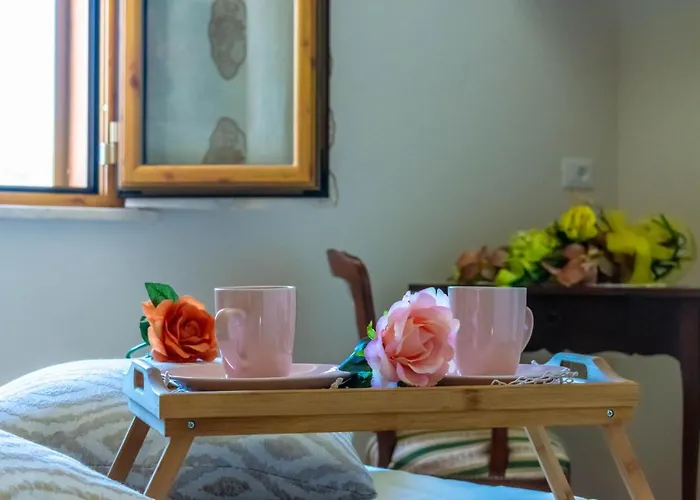 La Casa Del Nonno Bed and breakfast Spoltore